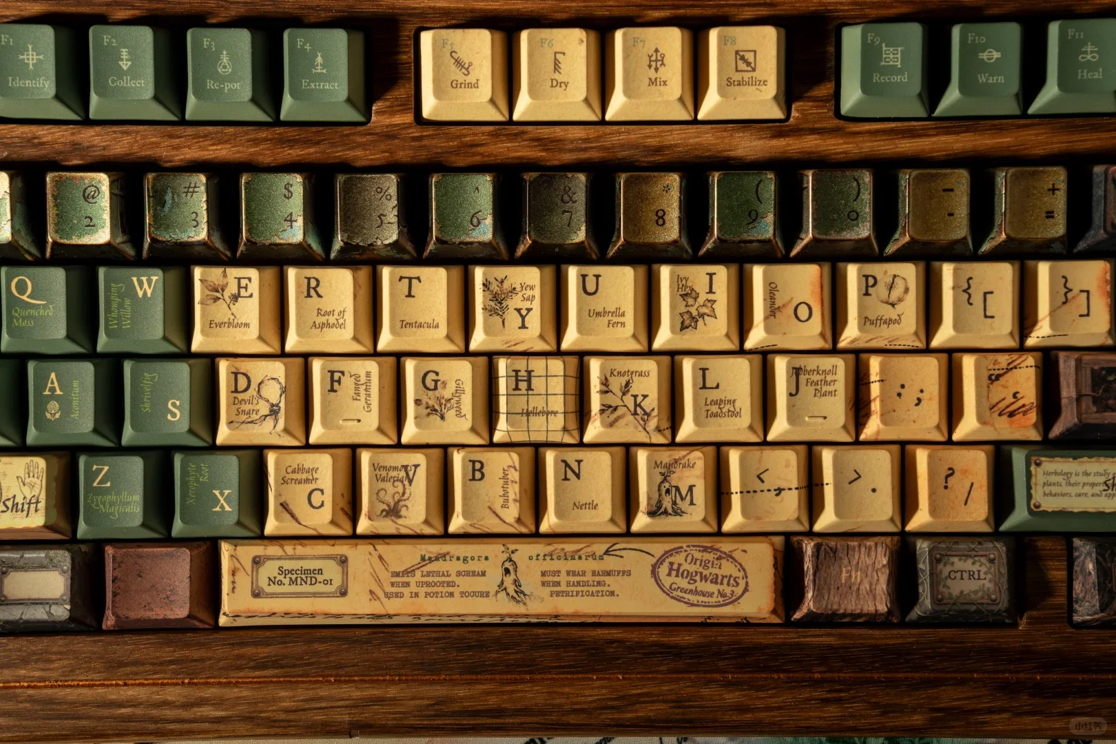 魔法草药学键帽就在今天 - Thumbnail 4