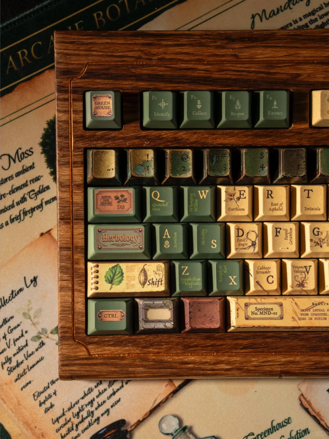 魔法草药学键帽就在今天